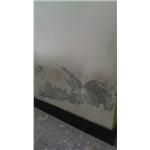 壁癌處理前 - 立群油漆工程行