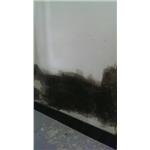 壁癌處理中 - 立群油漆工程行