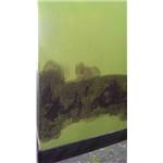 壁癌處理中 - 立群油漆工程行