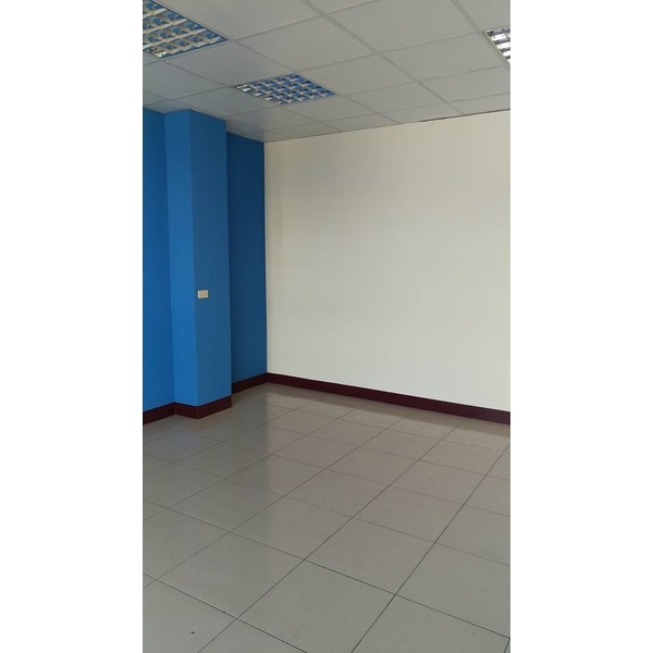 油漆粉刷 油漆粉刷,立群油漆工程行