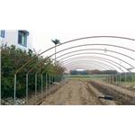 溫室工程設計實績05