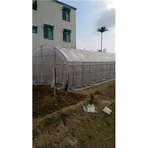 溫室工程設計實績02