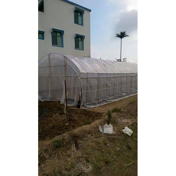 溫室工程設計實績02,創鑫溫室設計工程