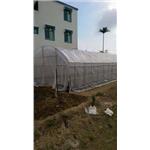 溫室工程設計實績02