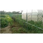 溫室工程設計實績01