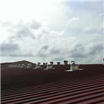 520 LED 光導日間-屋頂 - 陽昇綠能科技股份有限公司