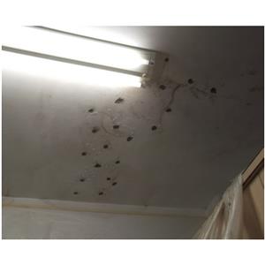 屋頂浸泡式防水