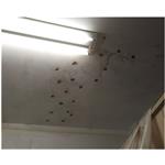 屋頂浸泡式防水 - 合雅工程有限公司