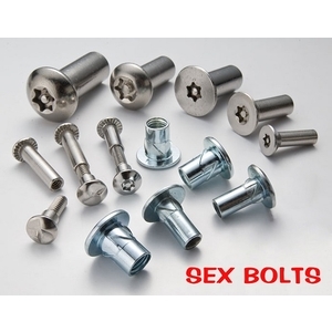 防盜系列公母螺絲 , 晟睿實業有限公司