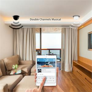 PLUGO 藍芽控制LED雙聲道音樂燈(1對2) , 維熹科技股份有限公司