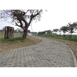 空心磚步道