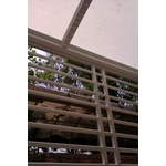 鋁管防盜窗14 - 弘大鋼鋁門窗行