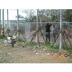 球場鍍鋅網圍籬