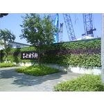 圍籬綠化工程-昵豪有限公司