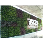 工地圍牆綠化工程 - 昵豪有限公司