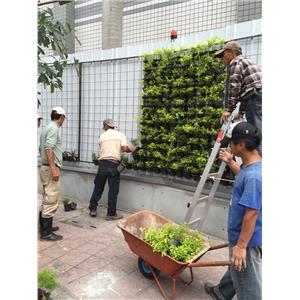 圍籬造景施工中