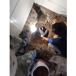 泥作工程 - 悅德工程行