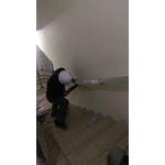 569857 - 榮業鋼鋁工程行