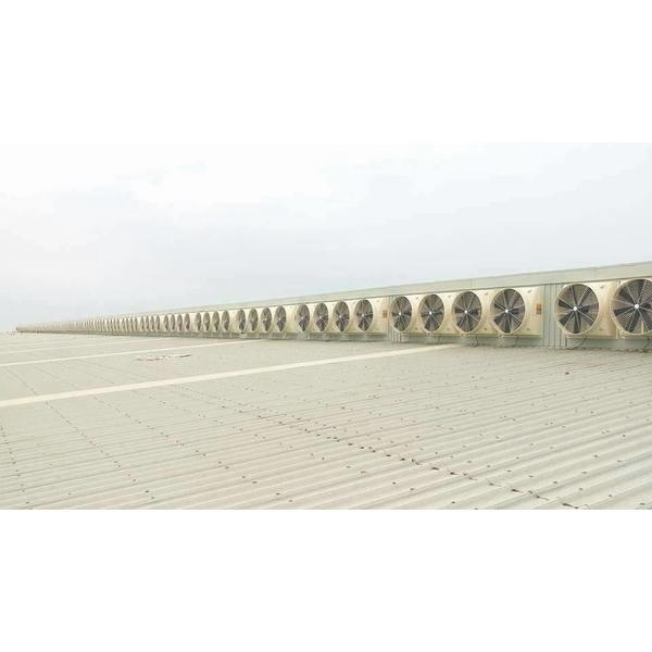 屋頂複壓式風扇,東悅通風設備有限公司