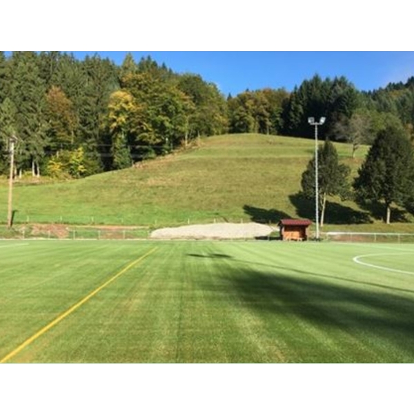 人造草坪軟木粒填充1-2mm-亞朋貿易有限公司