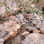 景觀池設計 - 鋐鑫工程有限公司