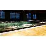 spa池設計 - 鋐鑫工程有限公司