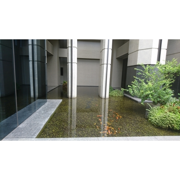 生態池施工,鋐鑫工程有限公司