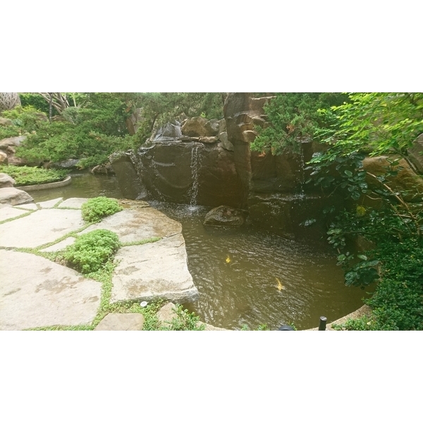 生態池施工,鋐鑫工程有限公司