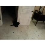 地磚隆起25 - 奕明工程行