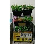 城市農田立體有機植栽 , 允祥實業有限公司