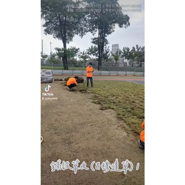 鋪設草皮(百慕達草)1,麗君室內裝修設計工程有限公司