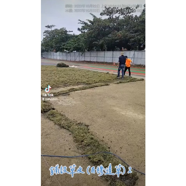 鋪設草皮(百慕達草)2,麗君室內裝修設計工程有限公司