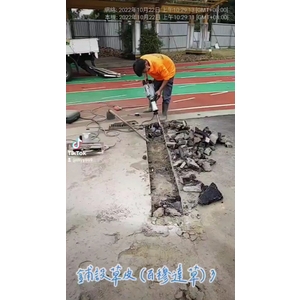 鋪設草皮(百慕達草)3