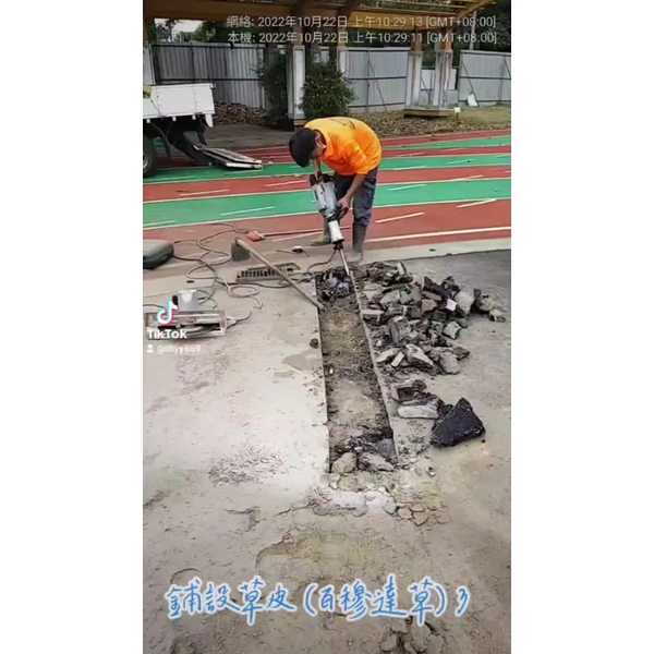 鋪設草皮(百慕達草)3,麗君室內裝修設計工程有限公司