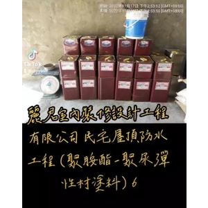 防水工程｜民宅屋頂｜聚胺酯聚脲彈性材塗料６ - 麗君室內裝修設計工程有限公司