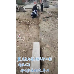 樹穴施作－排列步道樹穴界石