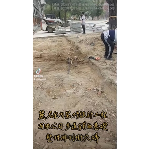 樹穴施作－步道舖面基礎整理排列樹穴磚