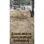 樹穴施作－步道舖面基礎整理排列樹穴磚