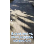 步道灌漿後機械整體粉光+毛刷