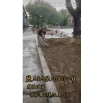 景觀工程-樹穴施作-樹穴回填沃土3-麗君室內裝修設計工程有限公司