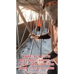 公寓大樓防水工程 - 麗君室內裝修設計工程有限公司