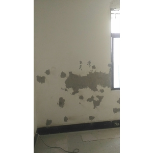 壁癌處理牆面油漆