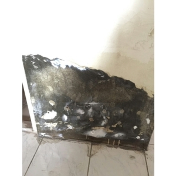 屋頂防水施作、增建漏水抓漏、壁癌、防水、油漆