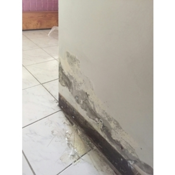 屋頂防水施作、增建漏水抓漏、壁癌、防水、油漆