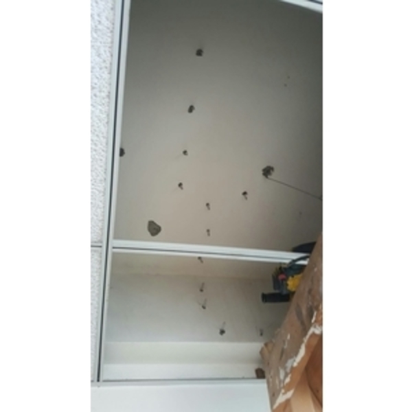 地下室結構裂縫滲水 地下室結構裂縫滲水-麗君室內裝修設計工程有限公司