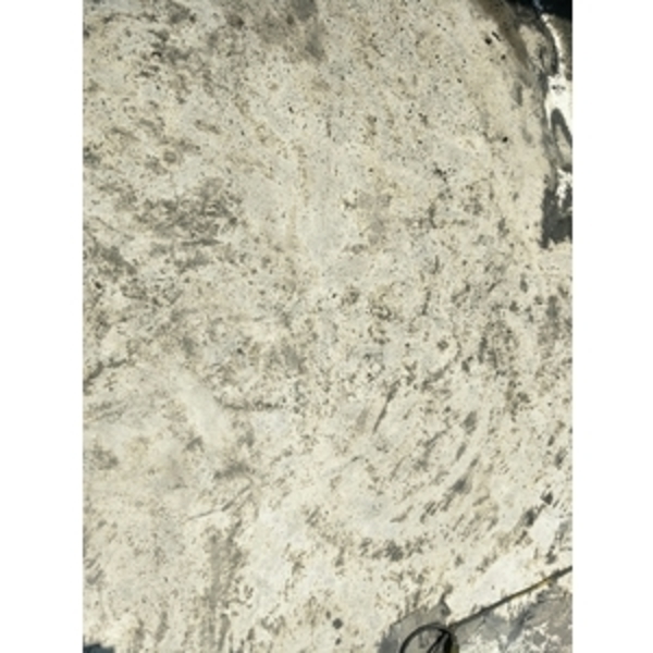 屋頂防水施作、增建漏水抓漏、壁癌、防水、油漆 屋頂防水施作、增建漏水抓漏、壁癌、防水、油漆-麗君室內裝修設計工程有限公司