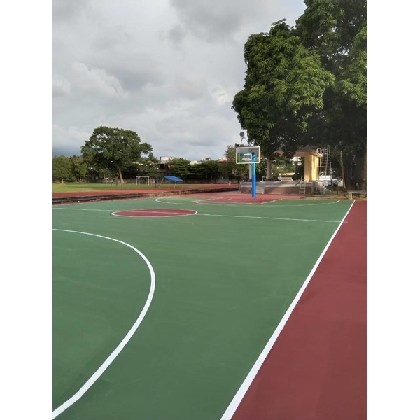 嘉義國中排球場及籃球場 嘉義國中排球場及籃球場-麗君室內裝修設計工程有限公司