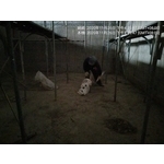 公寓防水工程(5樓) - 麗君室內裝修設計工程有限公司