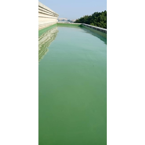 屋頂防水工程,麗君室內裝修設計工程有限公司