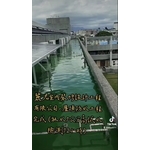 屋頂防水工程素地整理完成(放水7公分高試...